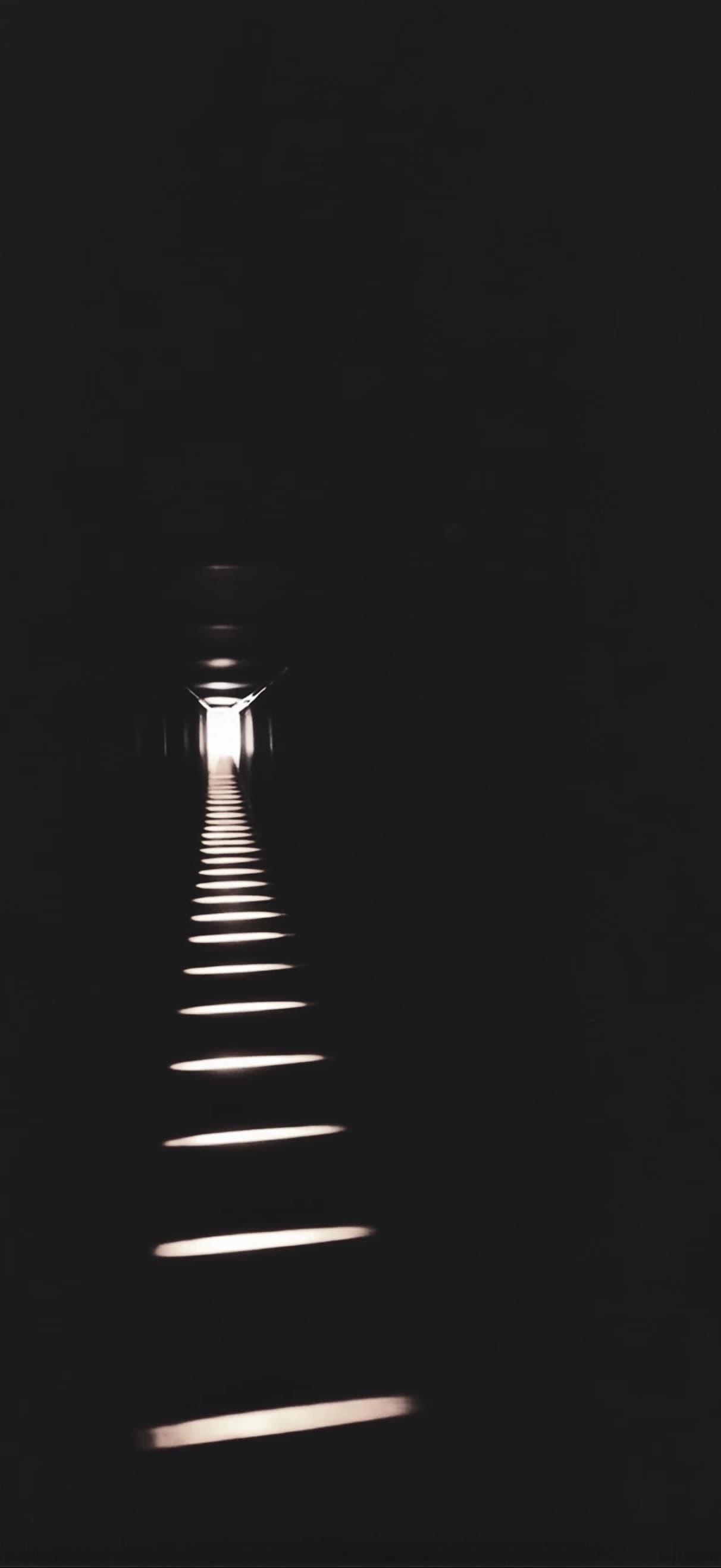 An Instagram story carrying the line Islam is the light that guides the way.