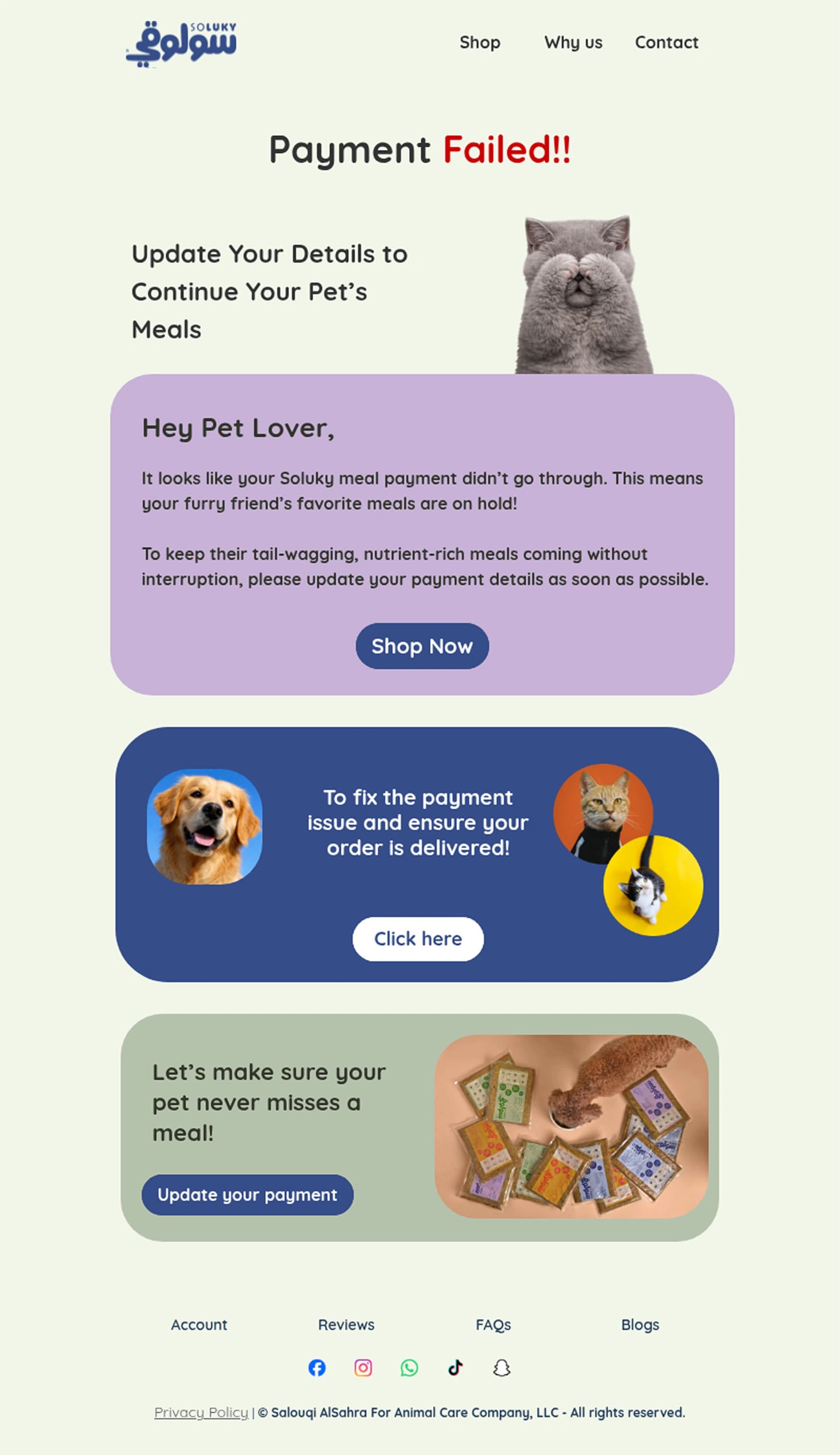 Soluky — payment recovery email A mint-green Soluky payment-recovery email headed “Payment Failed!!” with “Failed!!” in red beside a grey cat covering its eyes, the line “Update Your Details to Continue Your Pet’s Meals”, a lavender “Hey Pet Lover,” message block carrying a Shop Now button, a navy block pairing a golden retriever with a ginger cat under “To fix the payment issue and ensure your order is delivered!”, and a sage-green block of meal trays with an Update your payment button.